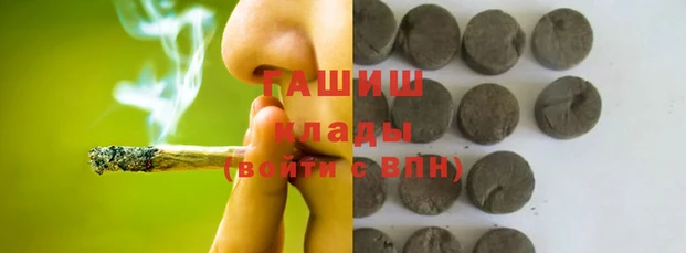 сатива Беломорск