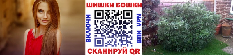 Конопля ГИДРОПОН наркотики Купино